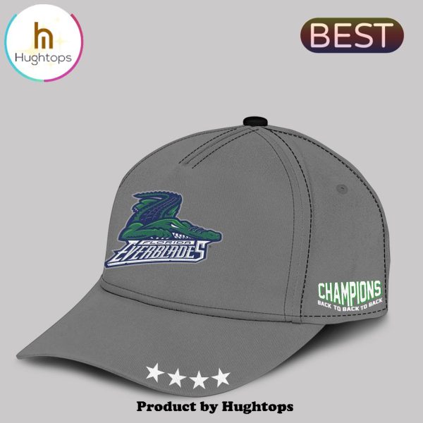 Florida Everblades Kelly Cup 2024 Grey T-Shirt, Cap